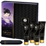 Набор SHUNGA NAUGHTY GEISHA (ИССЛЕДУЙ СВОЮ ШАЛОВЛИВУЮ СТОРОНУ) 8269 SG